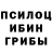 Псилоцибиновые грибы Psilocybe Vadim Volkovinsky