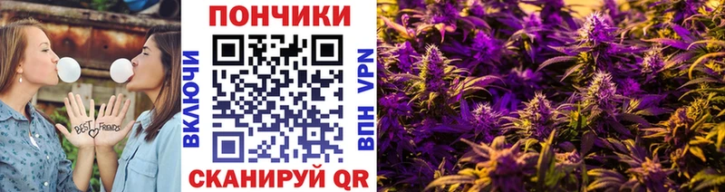 Купить где  Сафоново  Канабис ГИДРОПОН 